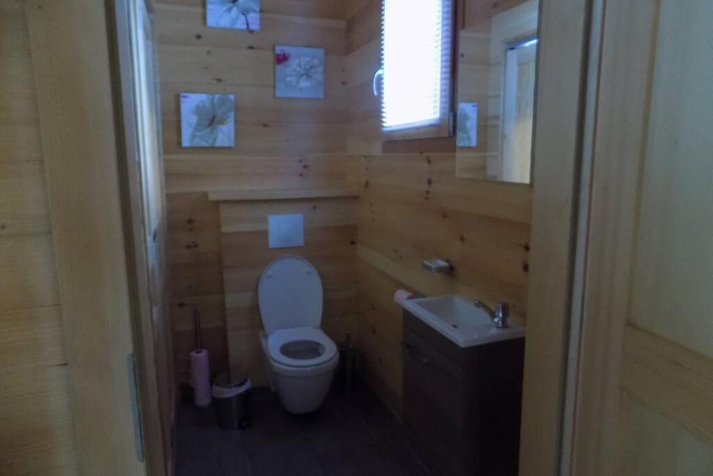 Chalet Des Charbonniers Avec Etang Saint-Maurice-sur-Moselle Dış mekan fotoğraf
